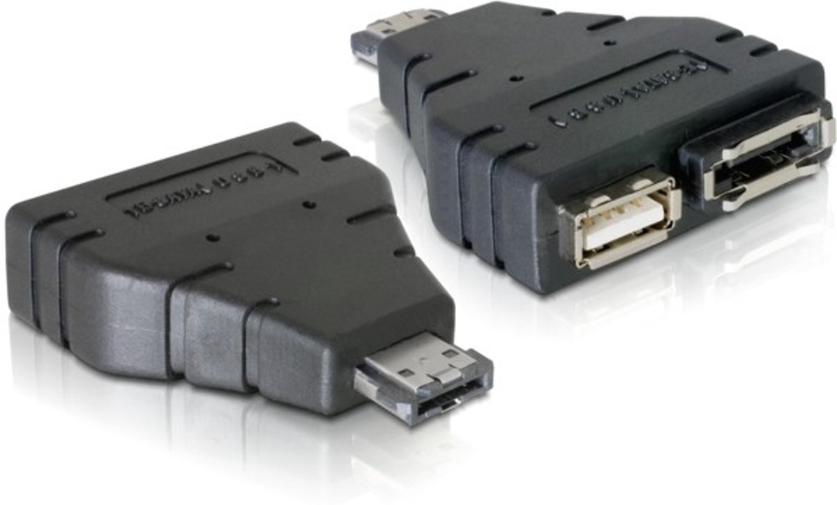 DeLOCK Adapter Power-over-eSATA <gt/> 1x eSATA/1x USB eSATA 1xeSATA, 1xUSB Zwart kabeladapter/verloopstukje